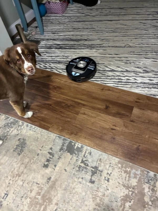 Customer photo